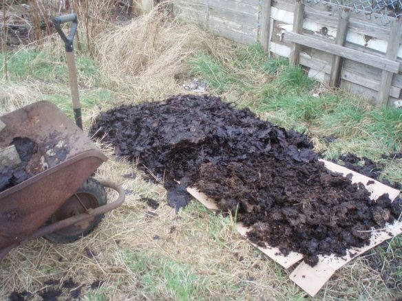 Cardboard, manure and leafmould