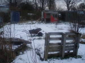 allotment in approximately 2 centimetres of snow